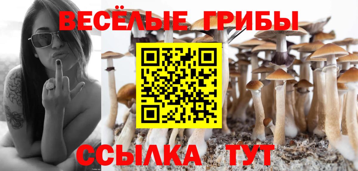 Видное  Псилоцибиновые грибы Cubensis  Вход с VPN  купить закладку  Псилоцибиновые грибы мицелий 